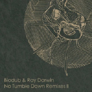 Biodub - No Tumble Down Remixes 2