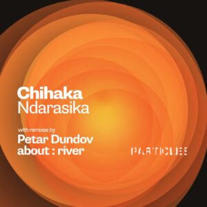 Chihaka  Ndarasika [PSI2113]