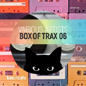 VA  Box of Trax, Vol. 6 [BOTRAX006DJ]