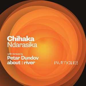 Chihaka  Ndarasika   Particles   PSI2113 