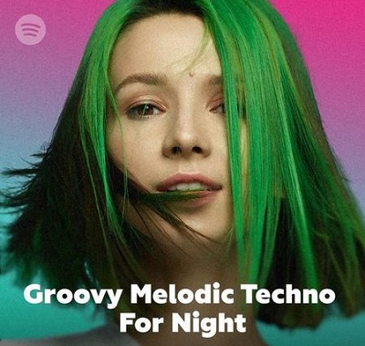 Miss Monique: Top 100 Melodic Techno For Night
