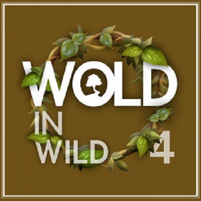 VA - Wold in Wild IV 