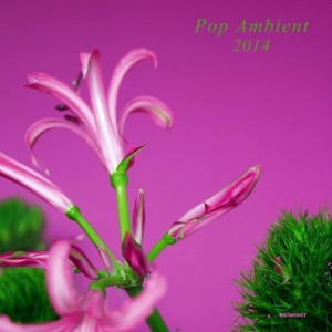 VA - Pop Ambient 2014