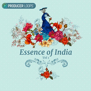 Producer Loops - Essence of India Vol 1 (WAV)