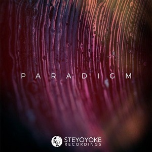 Steyoyoke Paradigm, Vol. 08  