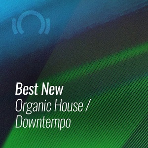 BEST NEW ORGANIC HOUSE & DOWNTEMPO: DECEMBER