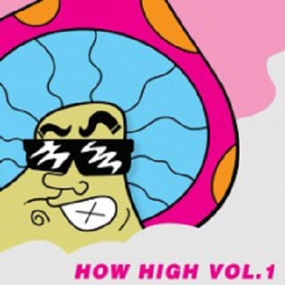 VA  How High Vol.1 (Robsoul Essential)