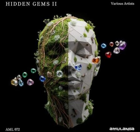 VA - Amulanga _ Hidden Gems 2 [AML072]
