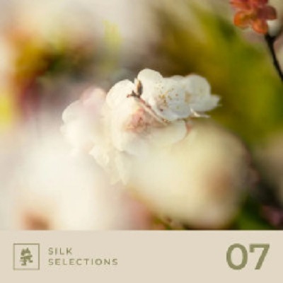 VA - Silk Selections 07 