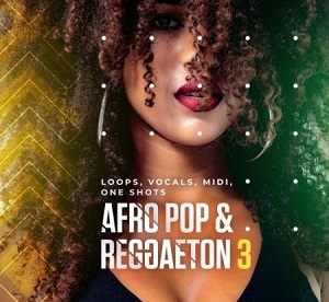 DIGINOIZ AFRO POP AND REGGAETON 3 WAV MIDI