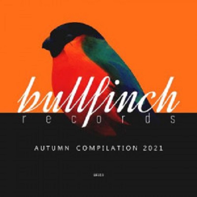 VA - Bullfinch Autumn 2021 Compilation VA - Bullfinch Autumn 2021 Compilation